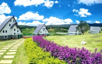 Đà Lạt Wonder Resort: Trải nghiệm nghỉ dưỡng sang trọng bậc nhất