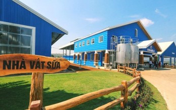 Khám phá Trang trại Sữa Vinamilk Organic Milk Farm: Miễn phí vé vào cửa, trải nghiệm nông nghiệp hữu cơ