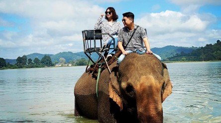 Tour Tây Nguyên 5 ngày 4 đêm từ Pleiku: Gia Lai – Măng Đen – Kon Tum – Đắk Lắk – Buôn Ma Thuột