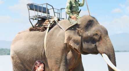 Tour Đắk Lắk từ TP Hồ Chí Minh 3 ngày 2 đêm: Buôn Mê Thuột – Buôn Đôn – Làng Cà Phê Trung Nguyên