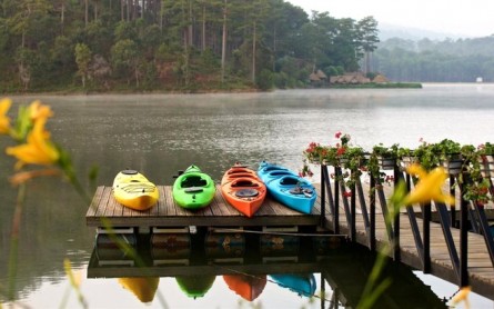 Bình An Đà Lạt: Ốc đảo hoa mộng mơ bên hồ Tuyền Lâm
