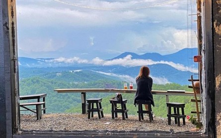 5 Quán Cafe Đà Lạt View Rừng Thông Lãng Mạn Hoàn Hảo Cho Chuyến Đi Sắp Tới