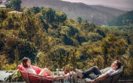 11 Quán Cà Phê Chill Ở Đà Lạt: Thoải Mái, Yên Tĩnh, Hoàn Hảo Cho Chuyến Du Lịch