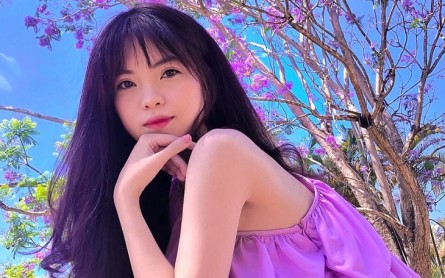 Phượng Tím Nở Rộ, Nét Đẹp Riêng Biệt Của Phố Núi