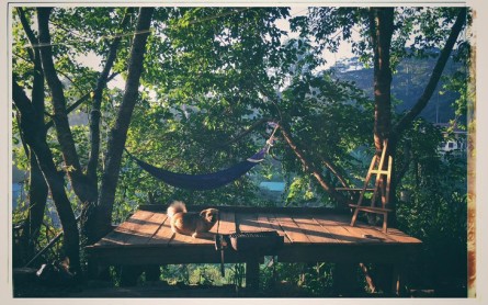 Homestay Đà Lạt lãng mạn, view thung lũng đẹp như mơ trong sương mù