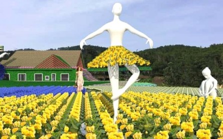 Fresh Garden Đà Lạt: Thiên đường triệu loài hoa, đẹp như mơ