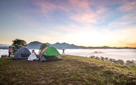 Thung Lũng Vàng Đà Lạt: Nơi bình yên giữa lòng phố núi mộng mơ