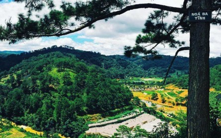 Ngã Ba Tình Đà Lạt: Nơi Tình Yêu Thăng Hoa Vĩnh Cửu