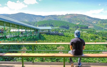 3 Quán Cafe Đà Lạt Ngon Không Thể Bỏ Lỡ