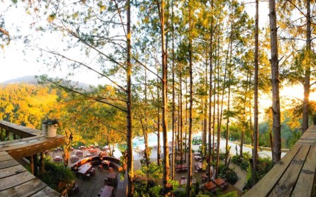 Thúy Thuận Đà Lạt: Check-in cháy máy với khung cảnh thiên nhiên tuyệt đẹp