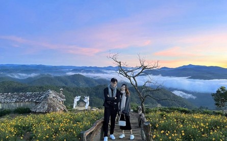 Cầu Gỗ Săn Mây Đà Lạt: Thiên đường săn mây đẹp mê hồn