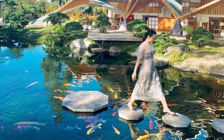 Kokoro Cafe Đà Lạt: Nét Nhật Bản giữa lòng phố núi