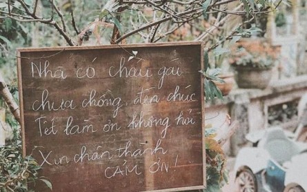 Đà Lạt: Chìm đắm trong nét dễ thương nhỏ xíu khiến bạn yêu mãi