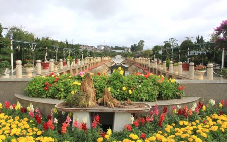 Quán Cafe Đà Lạt: Ăn Sáng Ngon & Khám Phá Buổi Sáng