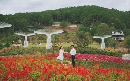 30/4 ở Đà Lạt: Tránh Đông Đúc, Khám Phá Nơi Bình Yên Thoải Mái