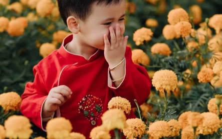 Du xuân Đà Lạt: 12 điểm đến lý tưởng, từ gần đến xa, cho chuyến du lịch trọn vẹn