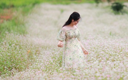 Vườn Hoa Tà Nung: Biển Hoa Rực Rỡ Trên Núi Cao