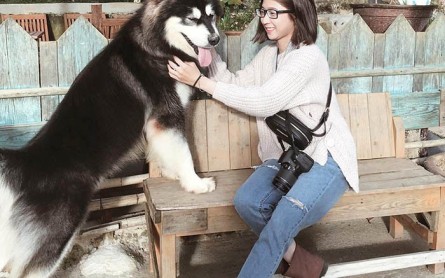 4 Homestay Đà Lạt Cho Pet: Nơi Sen Và Boss Gặp Gỡ, Vui Chơi 🐾