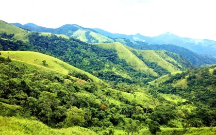 Trekking tuyệt đỉnh: Khám phá cung đường đẹp nhất Việt Nam tại Đà Lạt