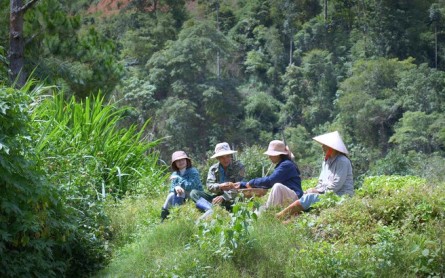 Cô gái xinh đẹp từ bỏ thành phố để tìm hạnh phúc ở quê nhà