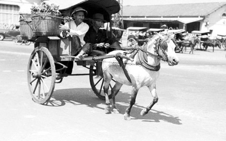 Đà Lạt Xưa: Xúc Cảm Khó Nói Về Thành Phố Đã Mất Trong Ký Ức