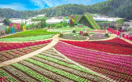 Fresh Đà Lạt: Thiên đường hoa, trải nghiệm tuyệt vời cho chuyến du lịch của bạn