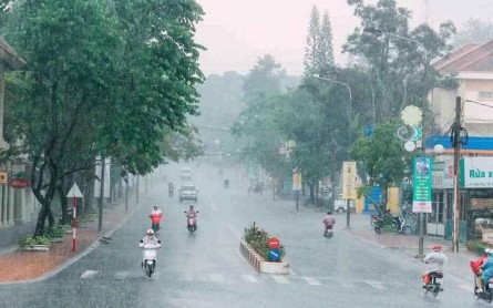 Đà Lạt ảm đạm trong mưa đầu mùa, nét buồn len lỏi khắp phố