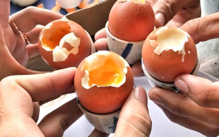 Yaourt Phô Mai – Trứng Lòng Đào Ngon Nức Tiếng, Đặc Sản Dưới Chân Chùa Tàu