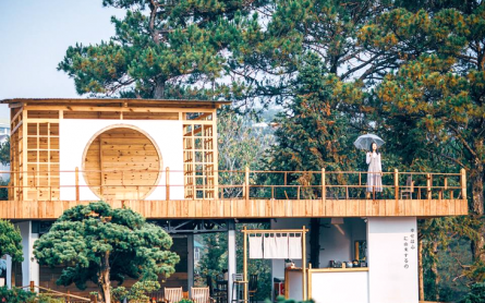 Khám phá 4 phong cách độc đáo của cafe Đà Lạt: Từ vintage lãng mạn đến hiện đại ấn tượng.