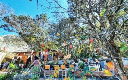 Đà Lạt: 7 Quán Cafe Đẹp Không Nên Bỏ Lỡ