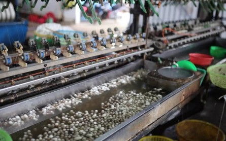 Khám phá 15 địa điểm du lịch hấp dẫn gần Tà Nung, Đà Lạt – Chuyến phiêu lưu lý tưởng!