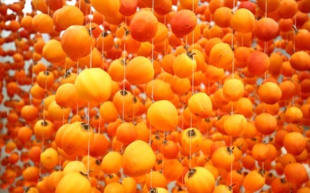 Khám phá những điểm du lịch nổi tiếng tại Cầu Đất: Nơi thiên nhiên và con người hòa quyện
