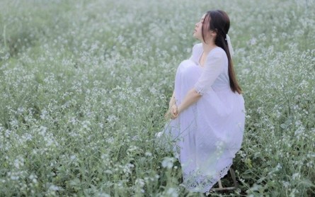Hoa Đà Lạt: Nét đẹp mê hoặc lòng người