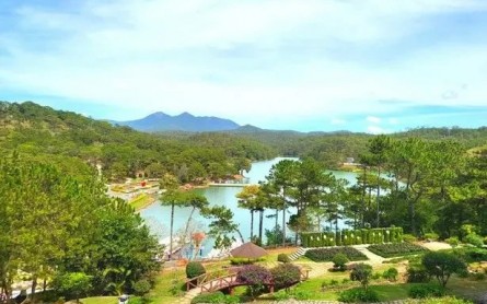 Đà Lạt tháng 5: Hoa nở rộ, thời tiết tuyệt vời để du lịch