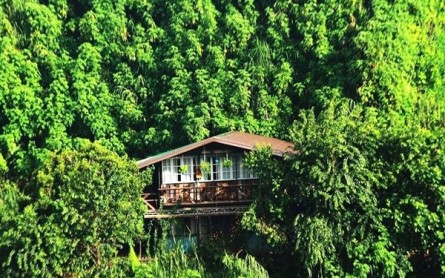 5 Homestay Yên Bình Ở Đà Lạt: Nơi Hòa Mình Cùng Thiên Nhiên Xanh Mát
