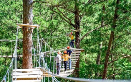 Trải nghiệm cảm giác mạnh đỉnh cao tại Đà Lạt