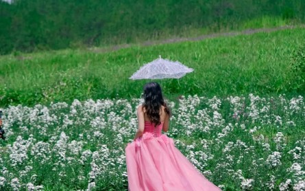 Hoa Nở Rộ Tại Đà Lạt Tháng 7: Khám Phá Sắc Màu Nơi Cao Nguyên