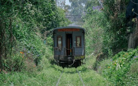 Đà Lạt: 10 Trải Nghiệm Không Thể Bỏ Lỡ