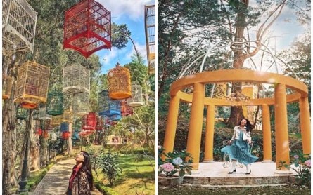 Dinh Bảo Đại Đà Lạt: Nơi Vị Vua Cuối Cùng Của Triều Nguyễn Từng Nắm Giữ Xa Hoa