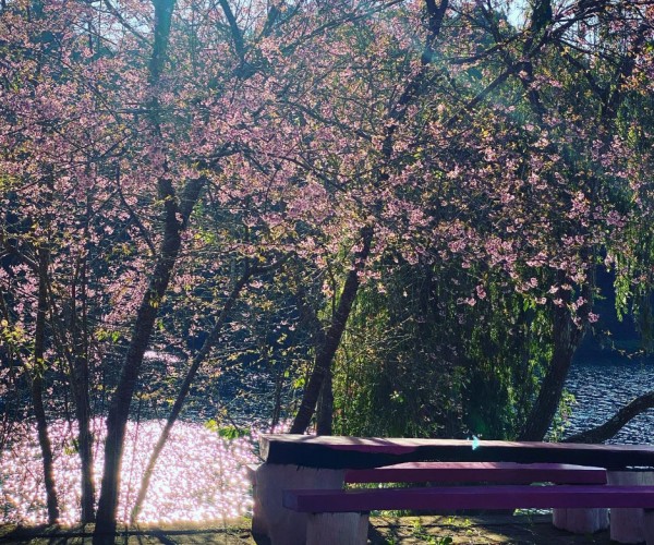 Tourdulichtaynguyentutphochiminh