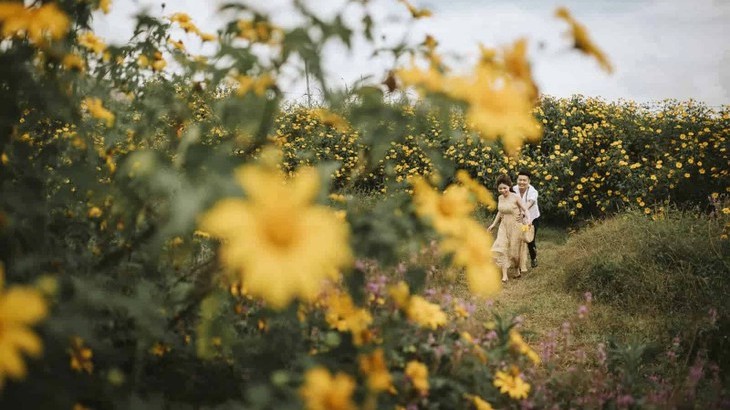 Anh Cuoi Hoa Da Quy Da Lat