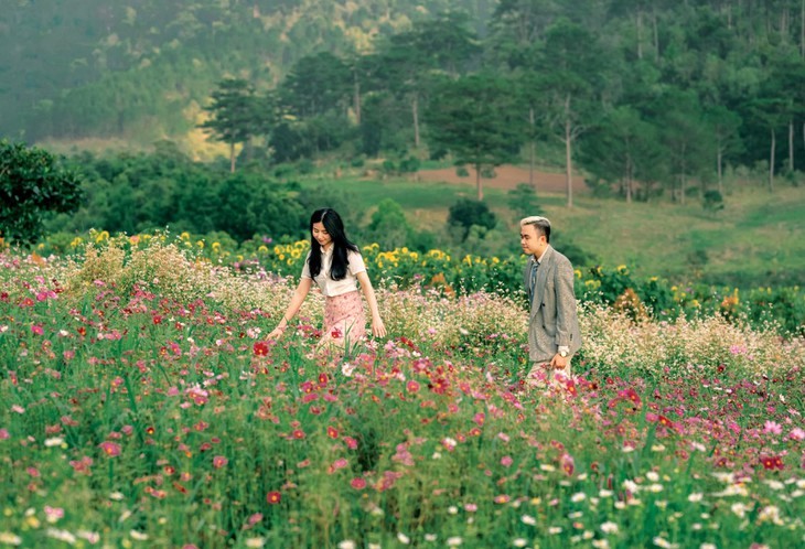 Khu du lịch Đà Lạt The Forest Ta Nung