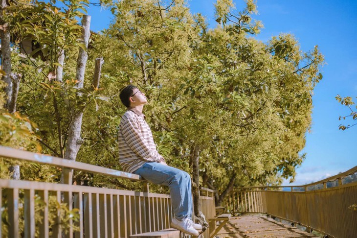 Khung cảnh nên thơ