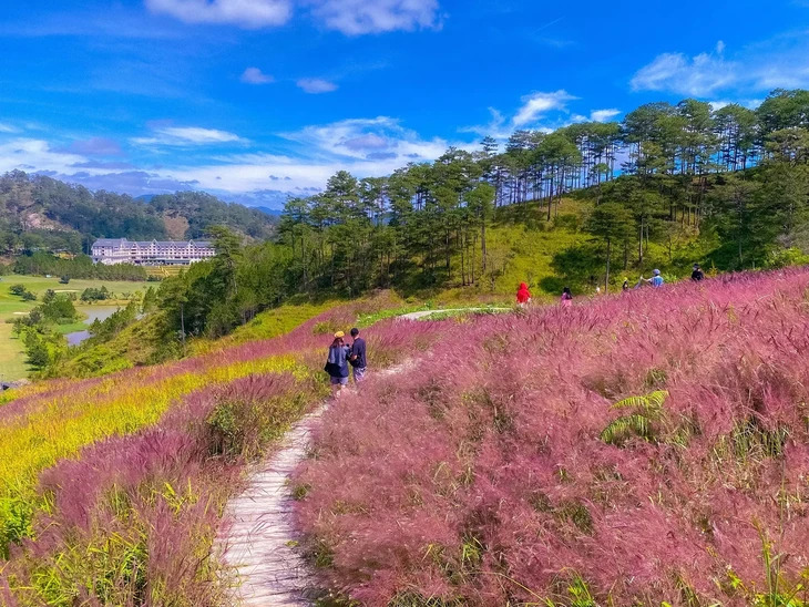Co Hong Da Lat