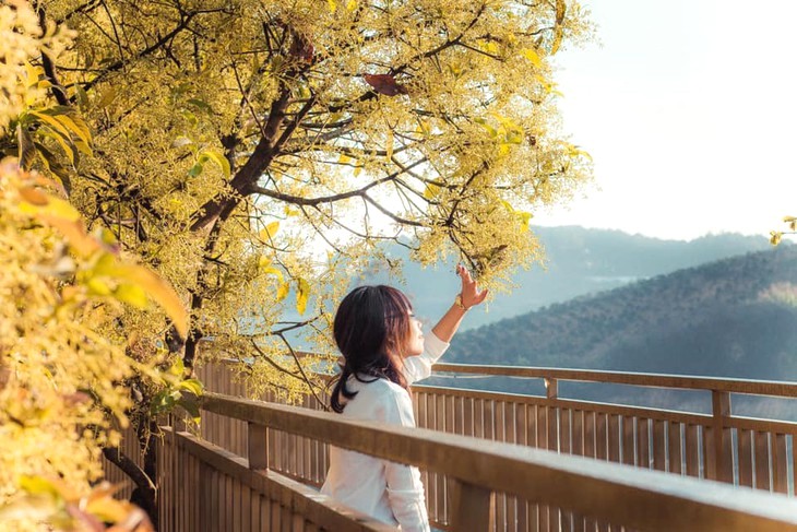 Địa điểm lý tưởng để chụp hình