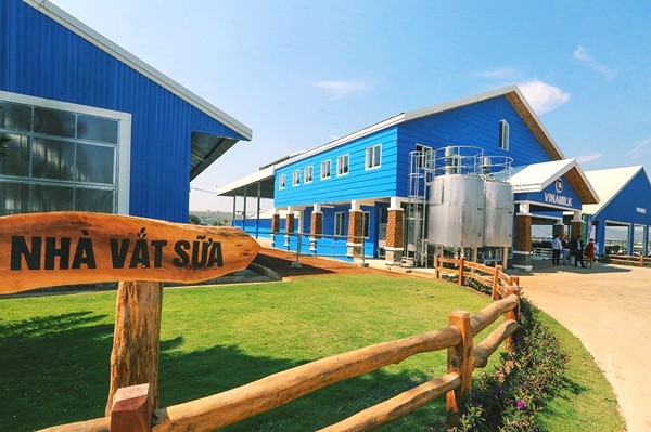 Vinamilk Milk Farm