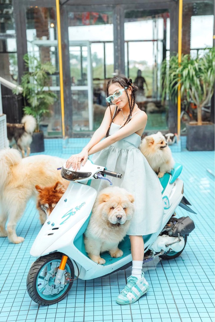 Cafe Cho Da Lat Dream House 1