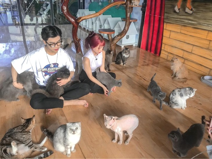 Cafe Cho Da Lat Dream House 2