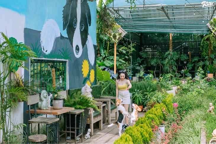 Cafe Vuon Cua Cun Puppy Garden