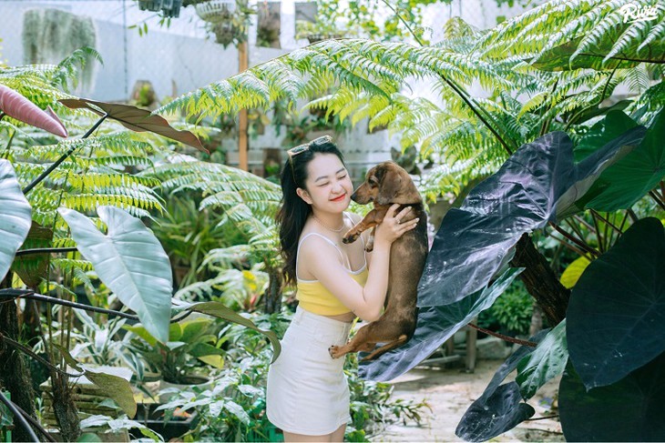 Cafe Vuon Cua Cun Puppy Garden